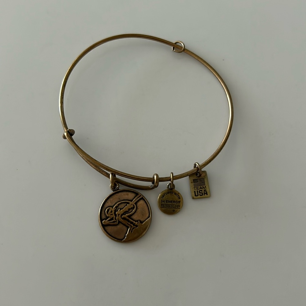 Alex and Ani ski charm bracelet